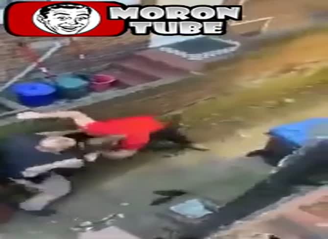 Video :After attacking a neighbor, he regrets it terribly!
